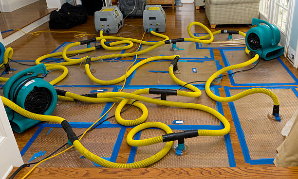 Professional Burst Pipe Water Damage technician working in Luther, MI