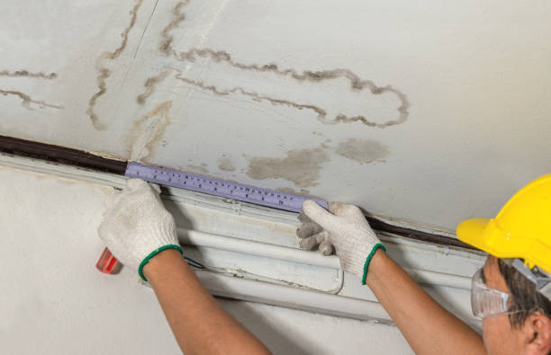 Affordable Water Damage Repair solutions in Luther, MI